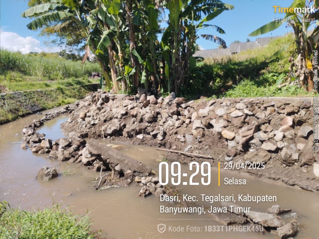 2025-04-29 09.29.54_