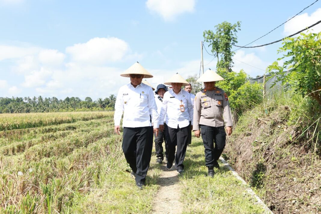 IMG-20251024-WA0282(1)