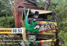 Truk Bermuatan 1.234 Ekor Ayam Masuk Jurang Sedalam 10 Meter di Sine Ngawi, Satu Orang Luka Serius