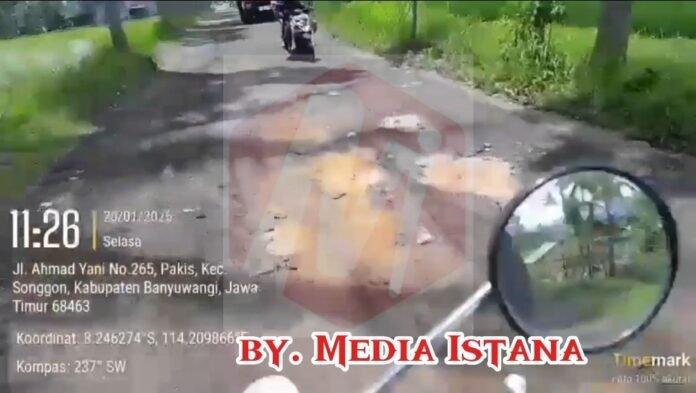 Screenshot_20260122_145400_Video Player