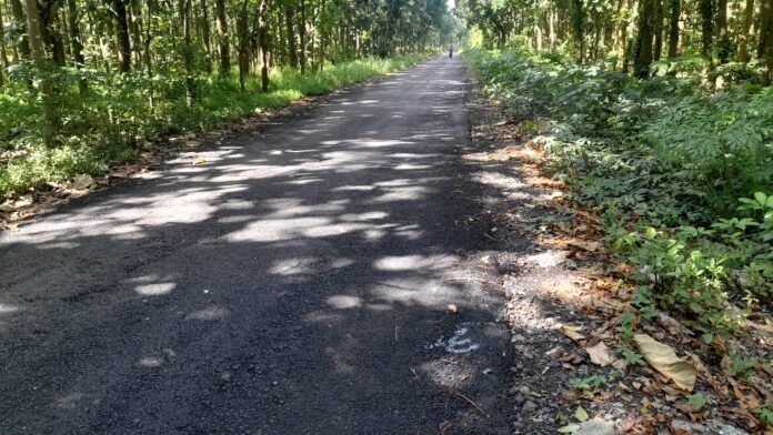 20260201_142521