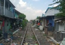 SEPANJANG BANTARAN REL KERETA API (KADAOPS VIII SURABAYA PASAR TURI ) PENUH BANGLI , SERING MEMAKAN KORBAN .