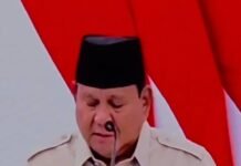 Presiden Prabowo Resmikan Groundbreaking Proyek Abadi LNG Blok Masela dari Istana Negara