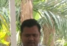 Perusahaan PT.HSJ Negeri Lama Asian Agri, Tbk Diduga Pekerjakan Anak Dibawah Umur, Humas Ray Bungkam